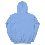 unisex-heavy-blend-hoodie-black-front-68089387eacff.jpg